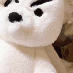 DƬ