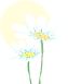 DƬ
