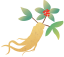 DƬ