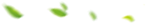 DƬ