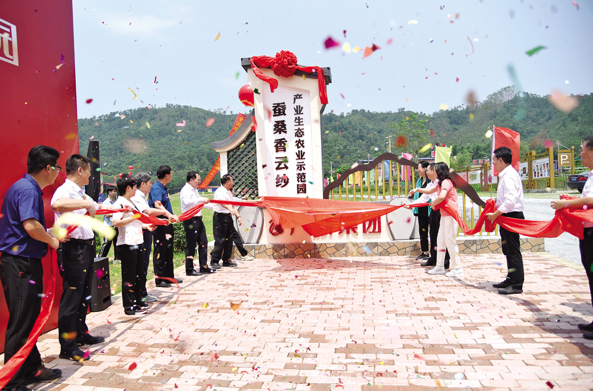DSC_8343香云紗.jpg