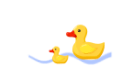 DƬ