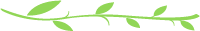 DƬ