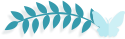DƬ