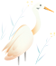 DƬ