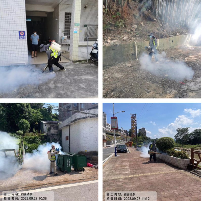 已編輯圖片