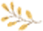 DƬ