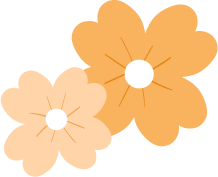 DƬ