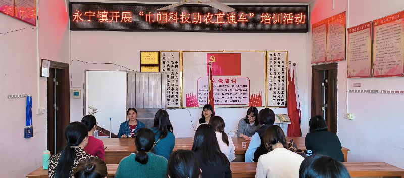 微信圖片_20231121162146.jpg