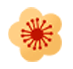 DƬ
