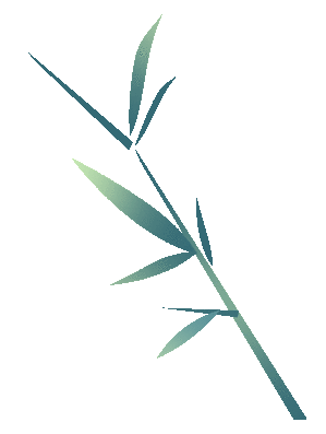 DƬ