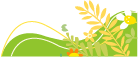 DƬ