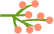 DƬ