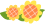 DƬ