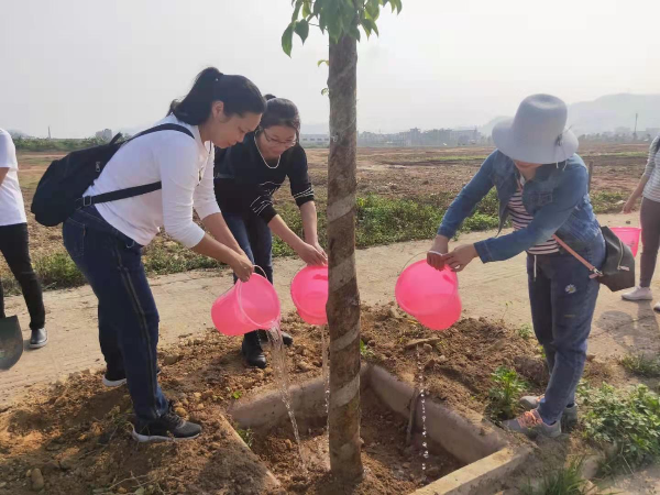已編輯圖片