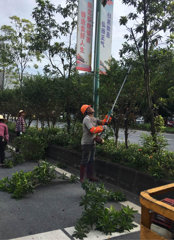 圖片1.jpg